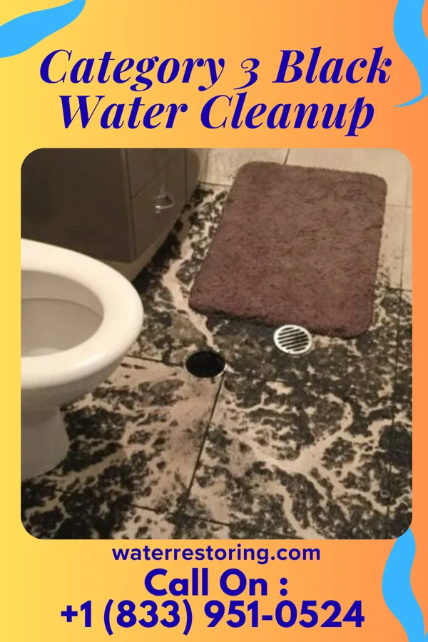 Category 3 Black Water Cleanup in Robins AFB, GA